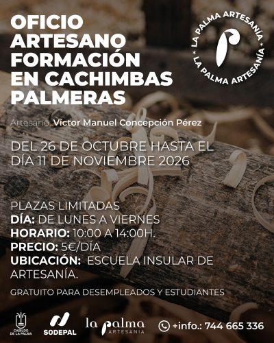 Cachimba_palmera