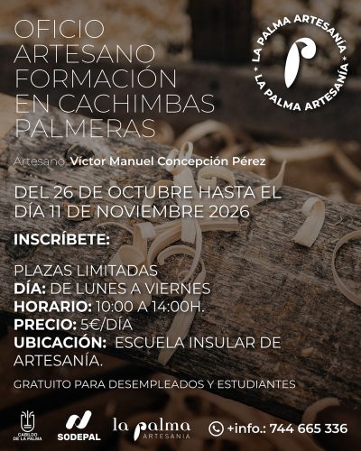 cachimbas_palmeras